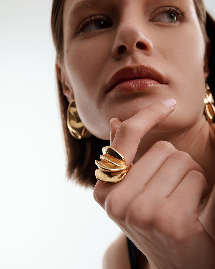 Anillo Filo