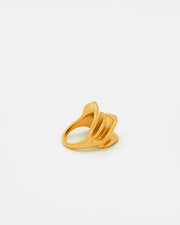 Anillo Filo