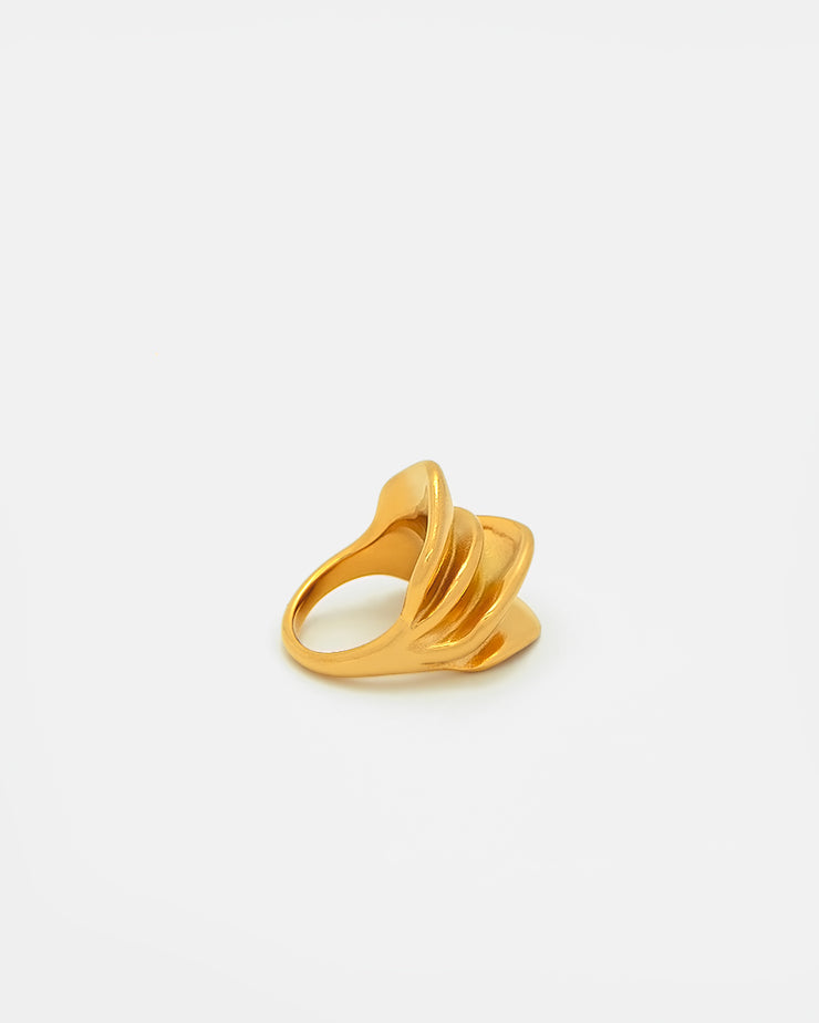 Anillo Filo