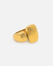Anillo Burn