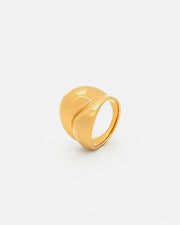 Anillo Dub