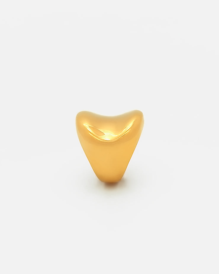 Anillo Satélite
